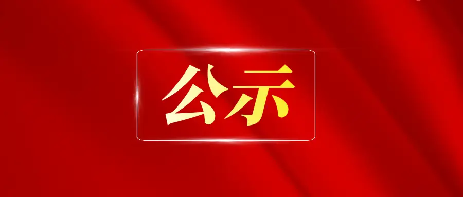 湖南财盛国际贸易有限公司人力资源等咨询服务采购项目询价比选中标公示